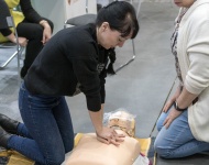 Galeria 1