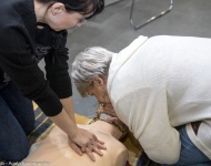 Galeria 1