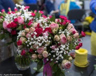 Galeria 1